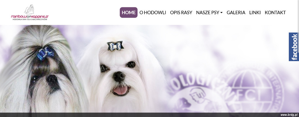 rainbow-of-happiness