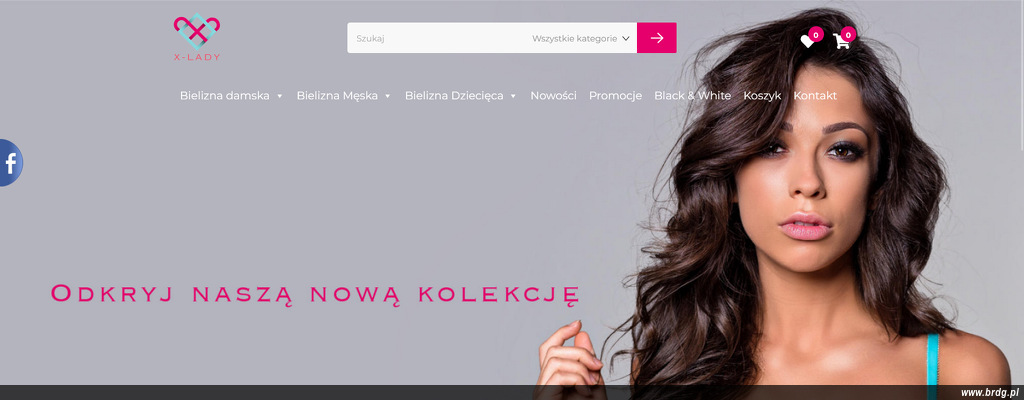 firma-handlowo-uslugowa-x-lady-pawel